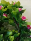 Lotus Ring Application Scenario